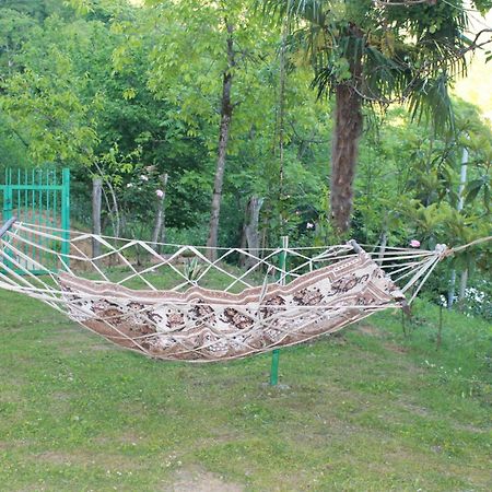 Villa Tengiz Chakvistavi エクステリア 写真