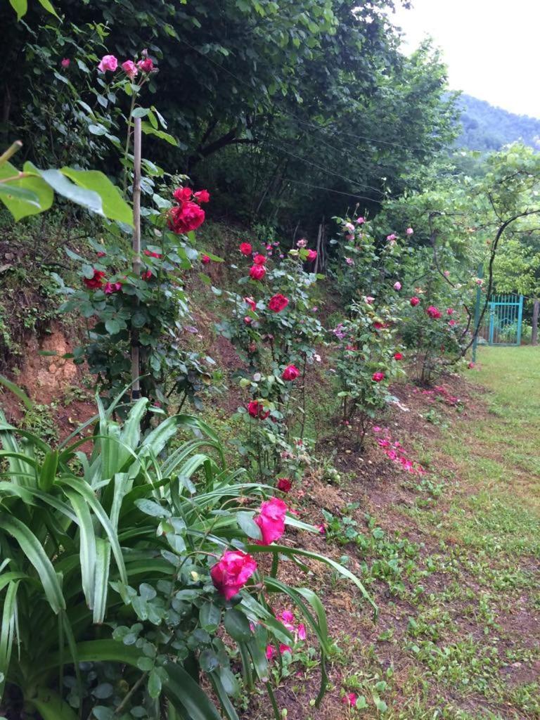 Villa Tengiz Chakvistavi 部屋 写真