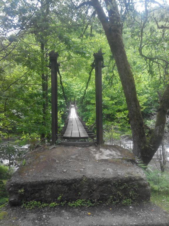 Villa Tengiz Chakvistavi エクステリア 写真
